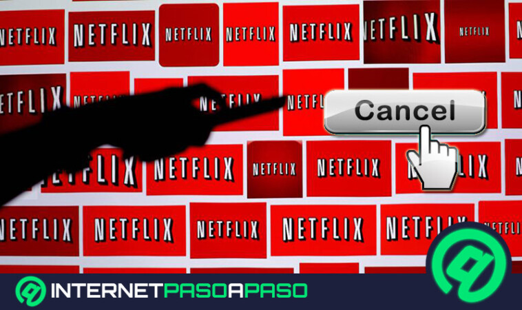 Actualizar Netflix Android Iphone Windows Smart Tv