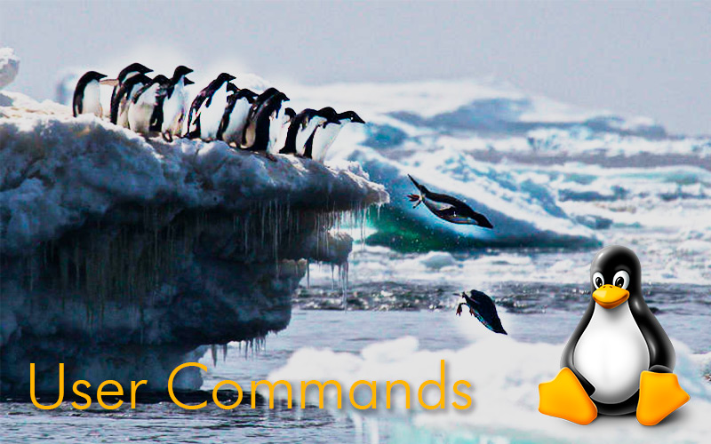 ¿Qué son los user commands de Linux y para qué sirven?