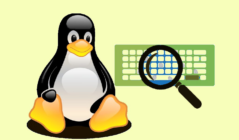 ¿Por qué instalar Linux en un ordenador? Principales beneficios
