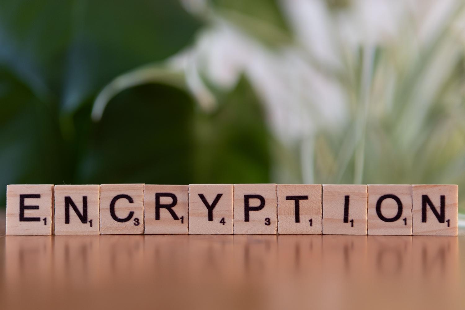 Bloques de madera formando la palabra 'encryption', simbolizando el cifrado de datos y la protección de la información.