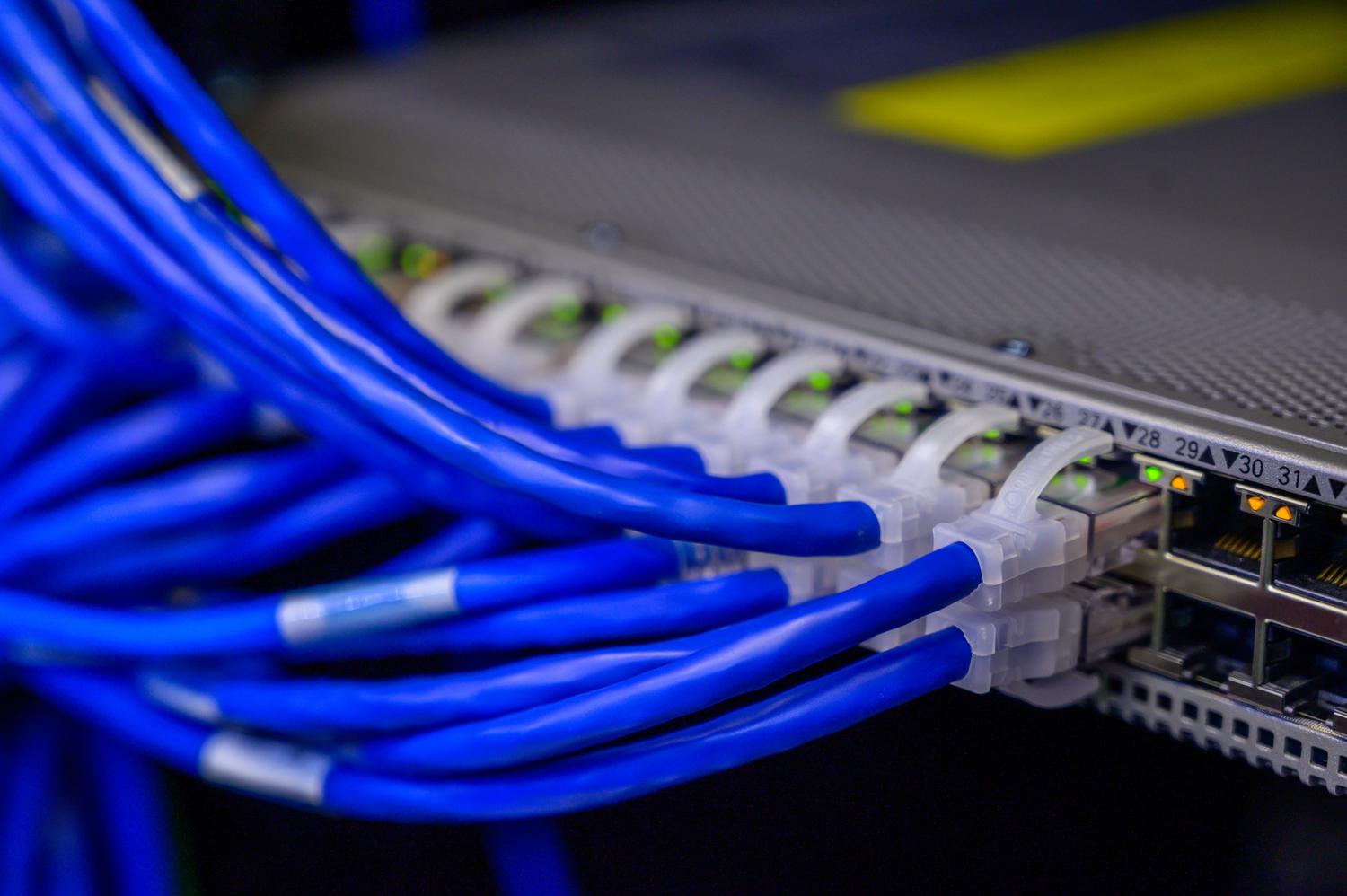 Cables Ethernet azules conectados a un switch de red en un centro de datos profesional.