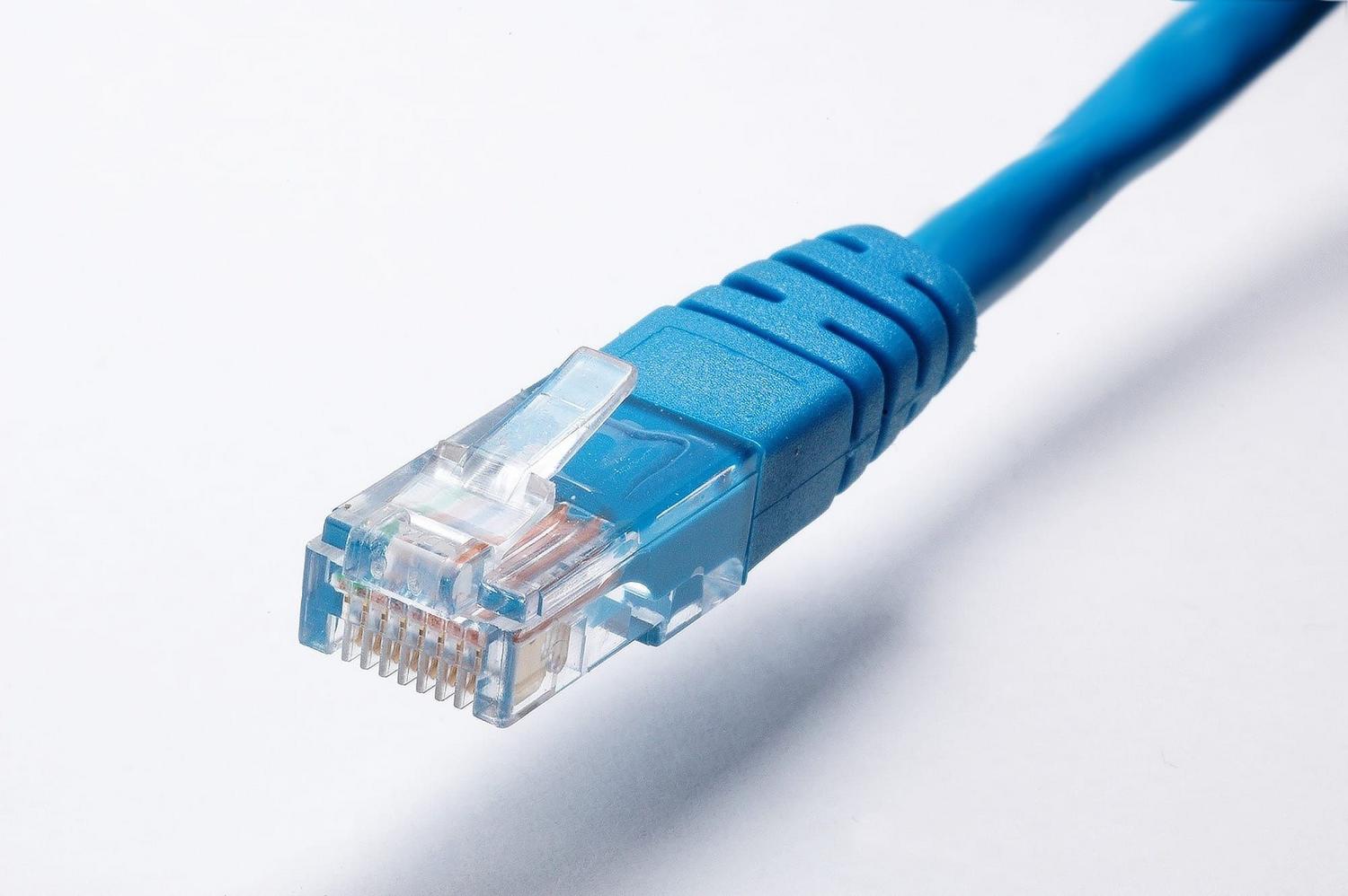 Primer plano de un conector RJ45 de un cable Ethernet azul sobre un fondo blanco.