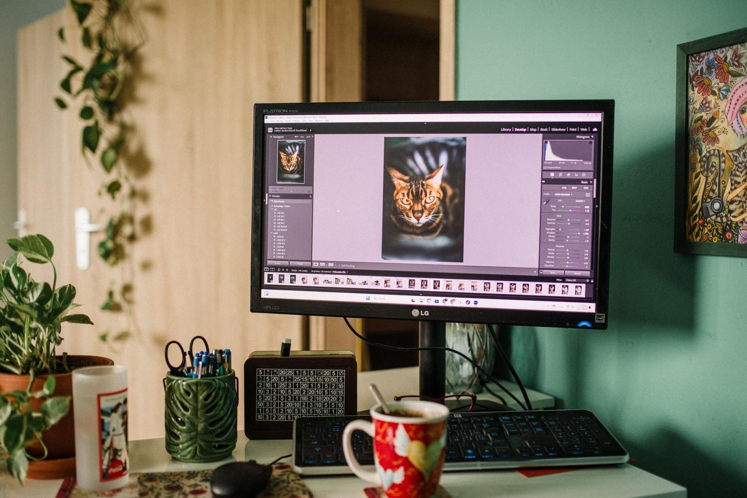 Espacio de trabajo con monitor mostrando software de edición fotográfica, donde se revelan los archivos RAW.