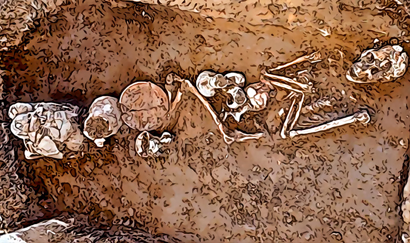 Acabamos de descubrir opio en una tumba de 3400 anos