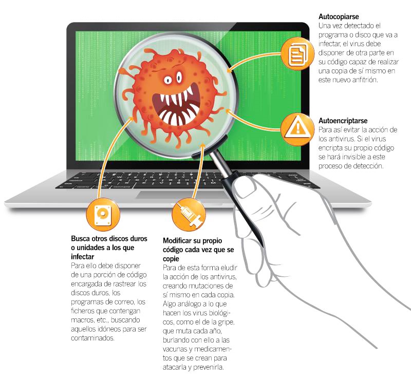 Caracteristicas virus ciberneticos de Internet
