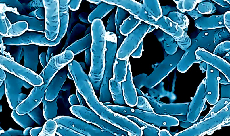 Científicos usan la IA para encontrar un antibiótico que derrote a las superbacterias mortales