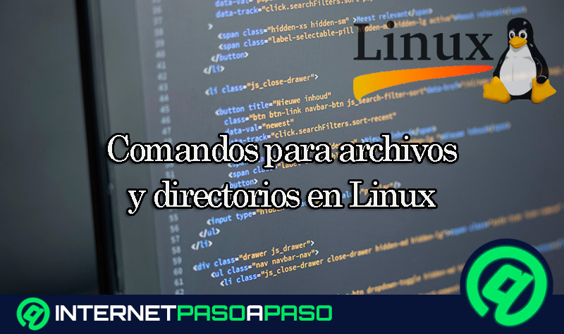 Comandos-para-archivos-y-directorios-en-Linux.-Qué-son,-para-qué-sirven-y-cuáles-son-los-más-importantes