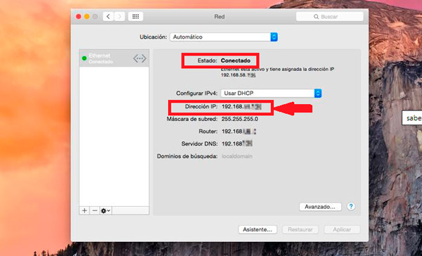 Know the IP address on Mac