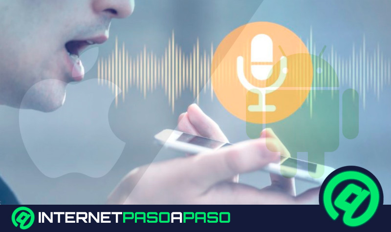 paleta Misterio trolebús 10 Aplicaciones para Cambiar Tu Voz en Android e iOS 】Lista ▷ 2023