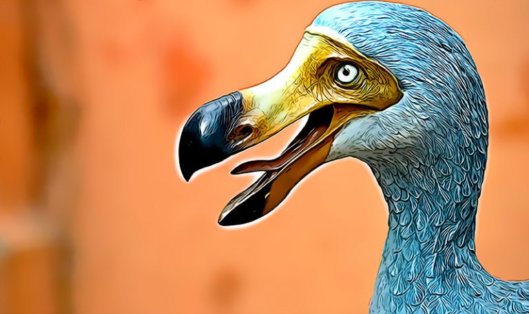 Cuales seran los siguientes Los cientificos quieren revivir al pajaro dodo tal como lo hicieron con el mamut
