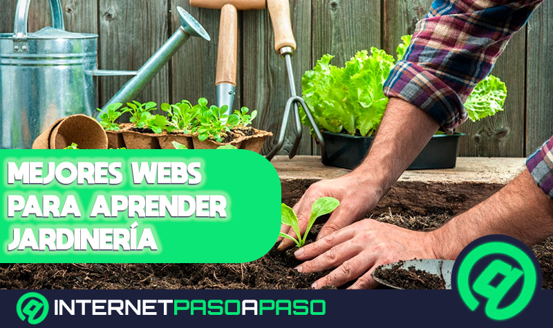 Cuales son las mejores paginas webs de plantas jardineria y floristeria Lista 2022