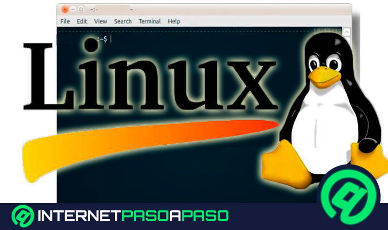 Cómo abrir un programa desde la consola en el sistema operativo Linux