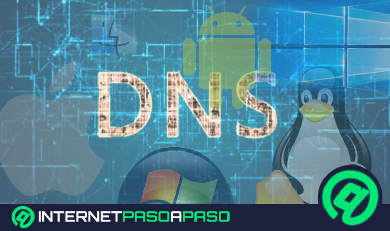 Cómo cambiar y configurar las DNS en cualquier sistema operativo Guía paso a paso