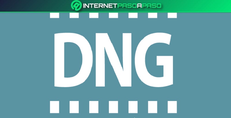 DNG (Digital Negative)