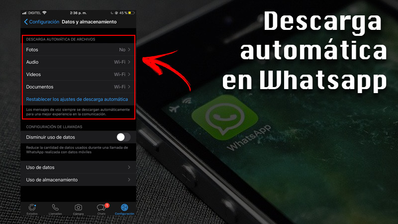 Automatic download of files in WhatsApp