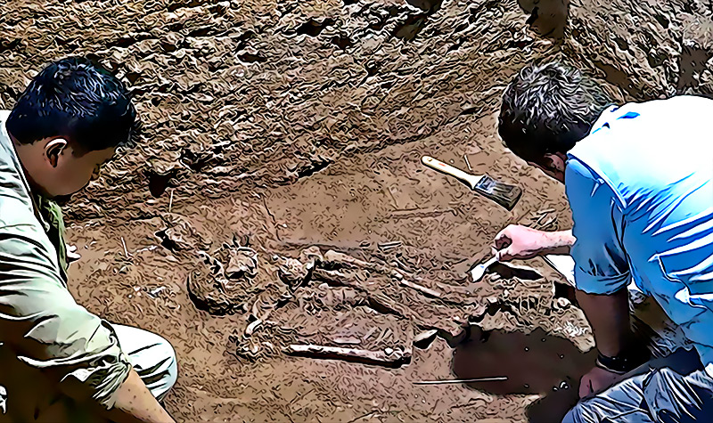 Descubren el corazon mas antiguo del mundo dentro de un fosil