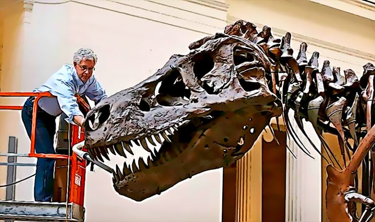 El esqueleto prehistorico de un T-rex sera triturado en Suiza por esta bizarra razon que te diremos