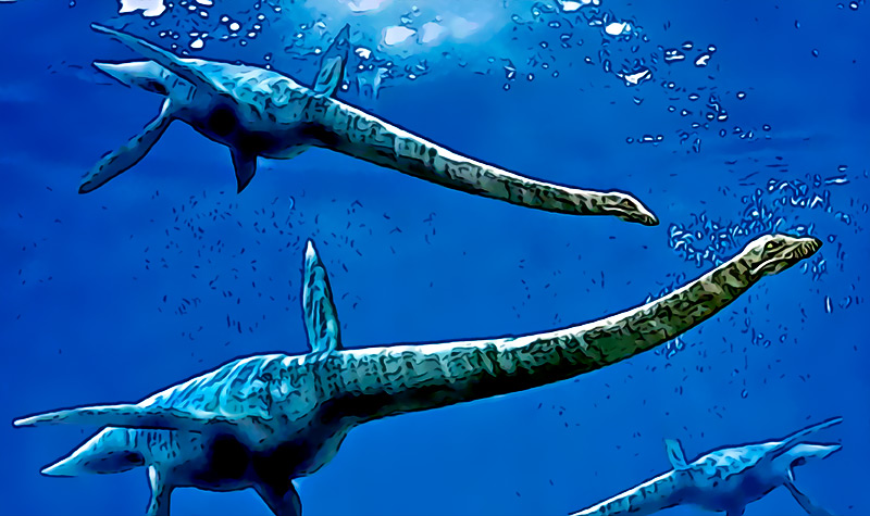 El extrano plesiosaurio descubierto por un paleontologo del Colegio de Charleston en 1995 en realidad es un reptil de cuello largo