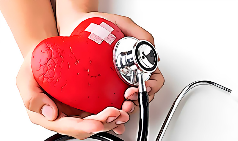 Enamorarte de nuevo es la mejor forma de reparar tu corazon luego de un infarto segun un nuevo estudio