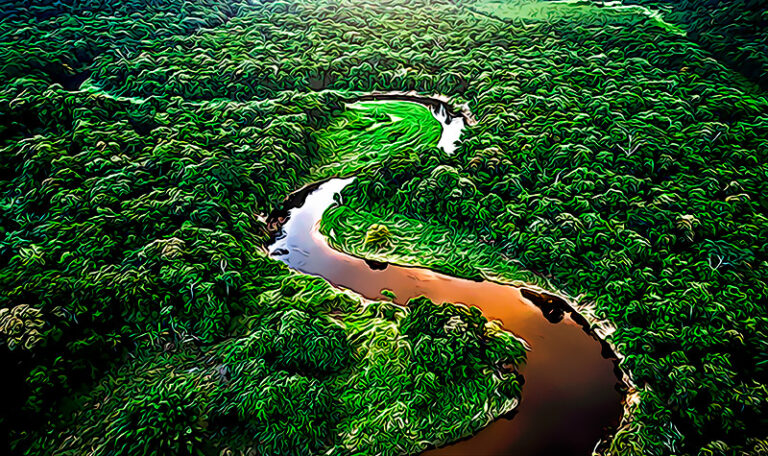 Investigadores estan invirtiendo millones en laseres para crear un mapa 3D del Amazonas pero 0 en evitar su explotacion