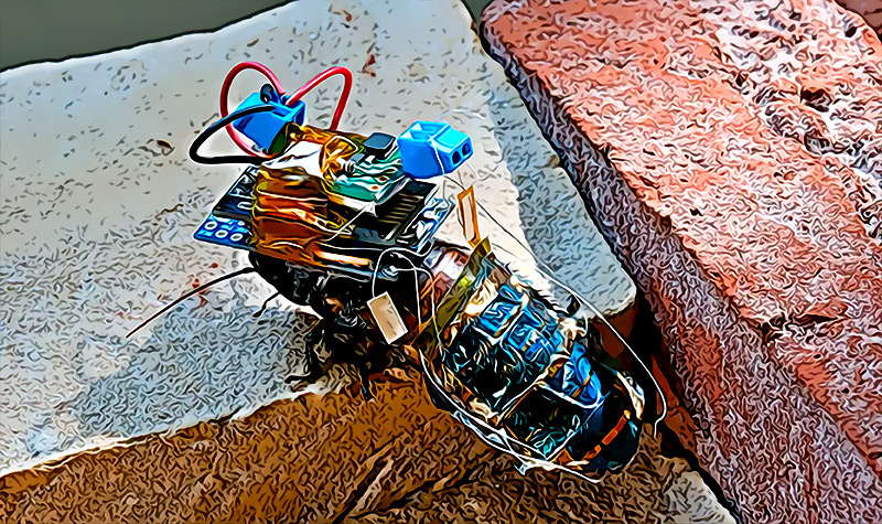 La cucaracha cyborg el nuevo robot superheroe que podria ayudar en misiones de rescate especiales