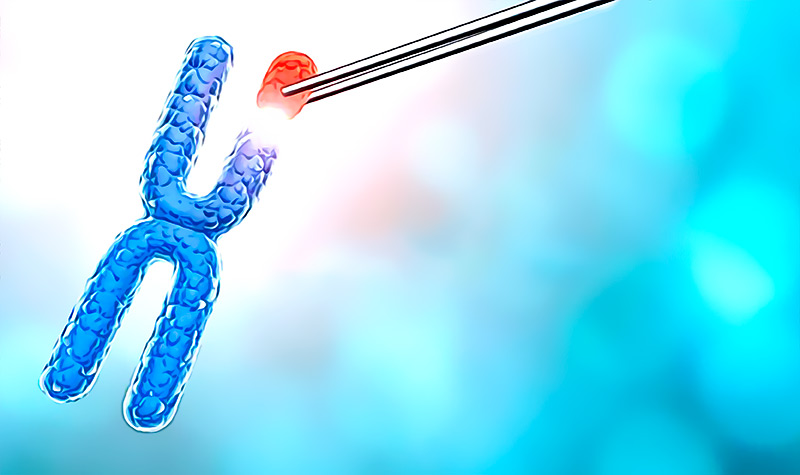 La ingenieria genetica de CRISPR podria generar cancer