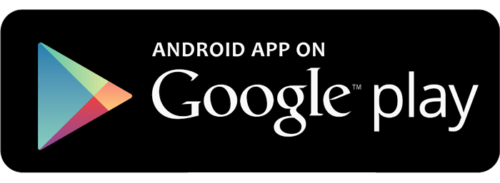 Logo app Instalcion Google Play Store