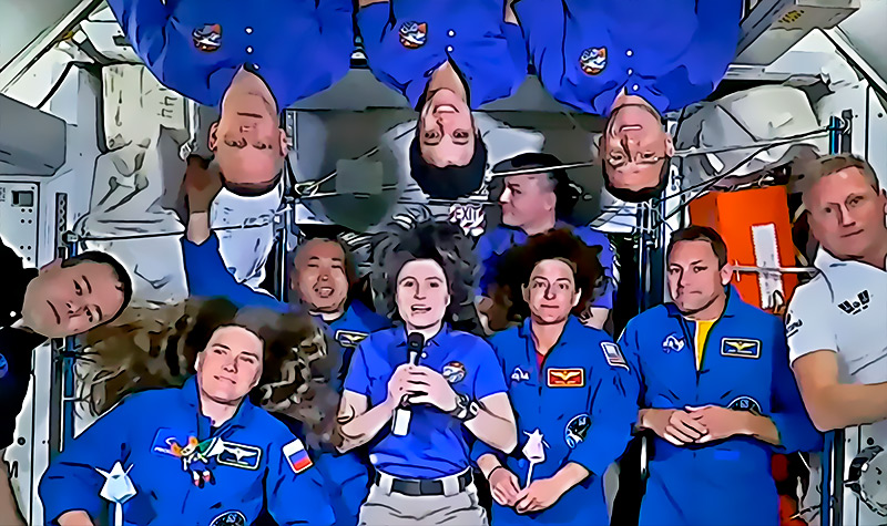 Los astronautas de SpaceX Crew regresaron a casa