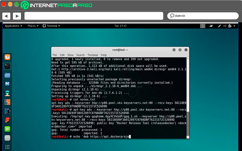 Manejar Docker desde la terminal de comandos en Linux
