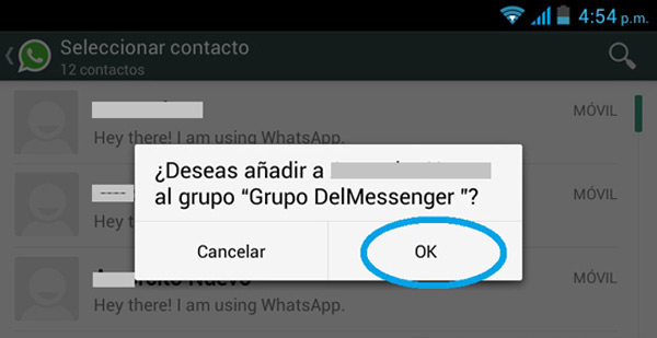No puedo agregarlo al grupo de Whatsapp