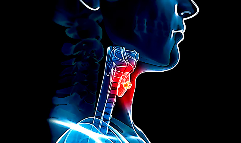 Nuevo estudio revela que tu laringe evoluciono durante los ultimos siglos para permitirte una comunicacion mas fluida