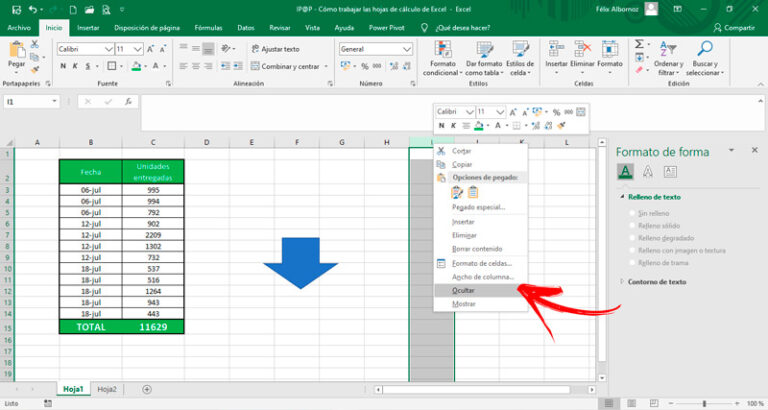 Tratar Y Editar Hojas De Cálculo En Excel 】guía Paso A Paso 2024 3686