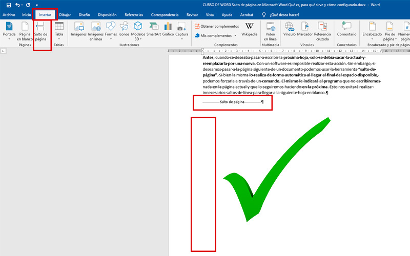 Pasos para configurar un salto de página en Microsoft Word como un experto