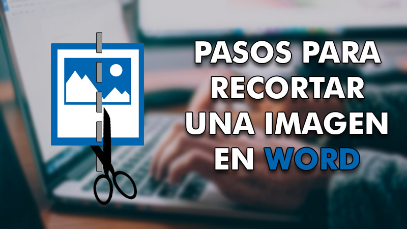 Pasos para recortar una imagen en Word