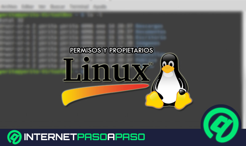 Permisos y Propietarios en Linux ¿Qué son, para qué sirven y cómo modificarlos en el sistema operativo?