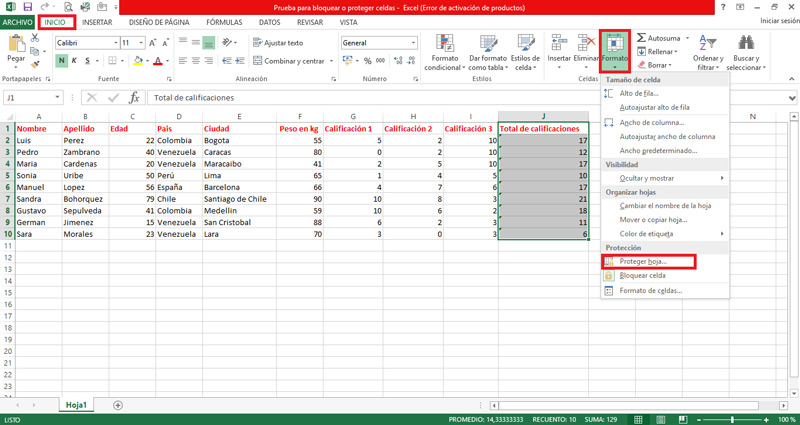 Protecting the spreadsheet