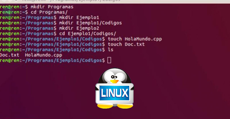 ¿Qué se puede hacer con los comandos de la terminal de Linux?