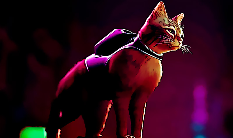Se vuelve a retrasar el lanzamiento de Stray el simulador de gato cyberpunk mas esperado del ano
