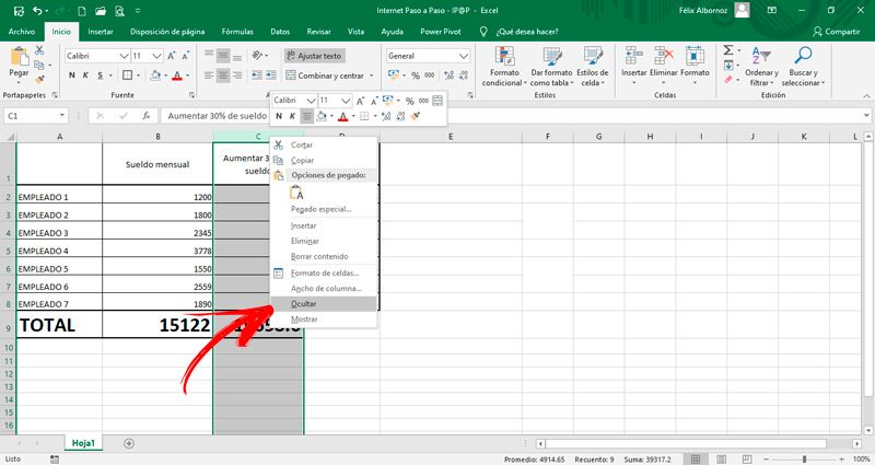 Pasos para ocultar una fila o columna de una hoja de cálculo de Excel