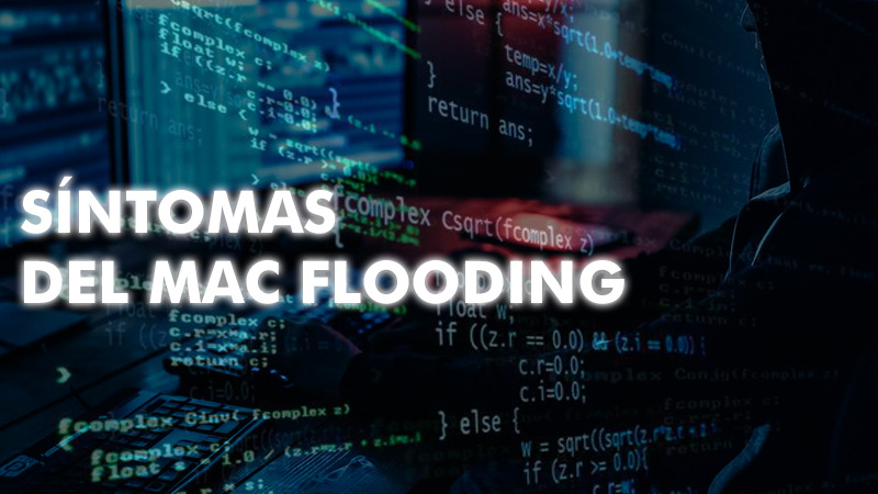 Síntomas del Mac Flooding