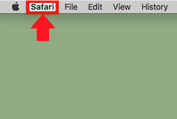 Ver el código fuente desde Safari 