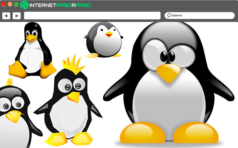 Versiones de Tux en Linux
