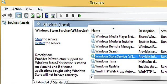 WSService o Servicio de almacenamiento de Windows