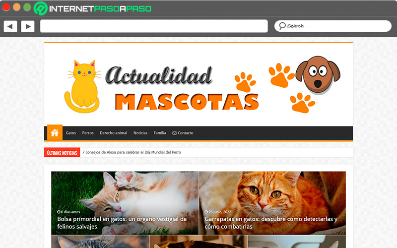 Web de Actualidad mascotas