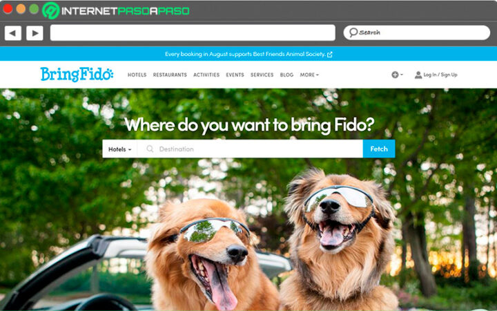 Perro Internet Random 25 Webs sobre Perros, Gatos y Mascotas 】Lista 2026