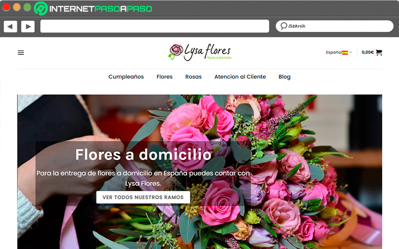 Web de Lysa Flores
