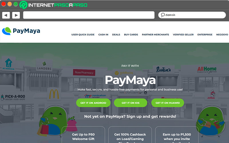 Web de PayMaya