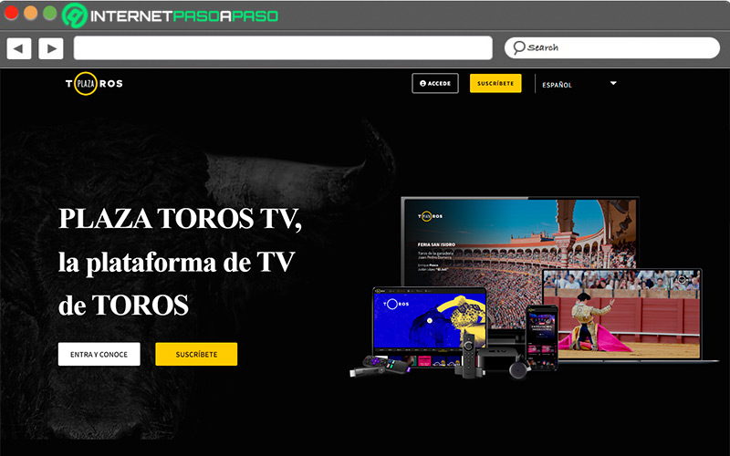 Web de Plazatoros TV