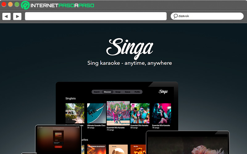 Web de Singa