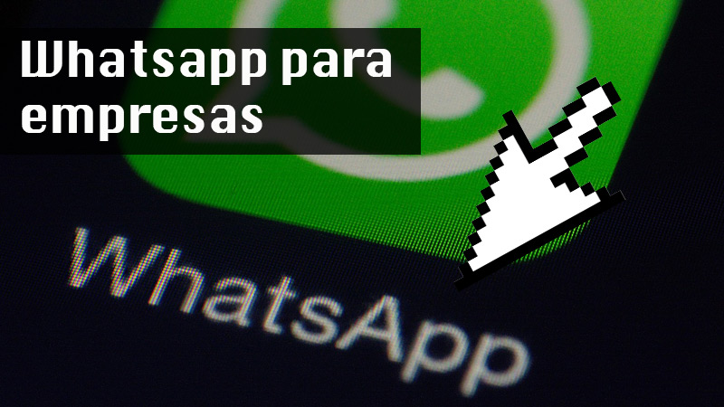 Whatsapp para empresas
